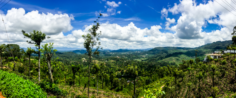 Sri lanka Kandy-17