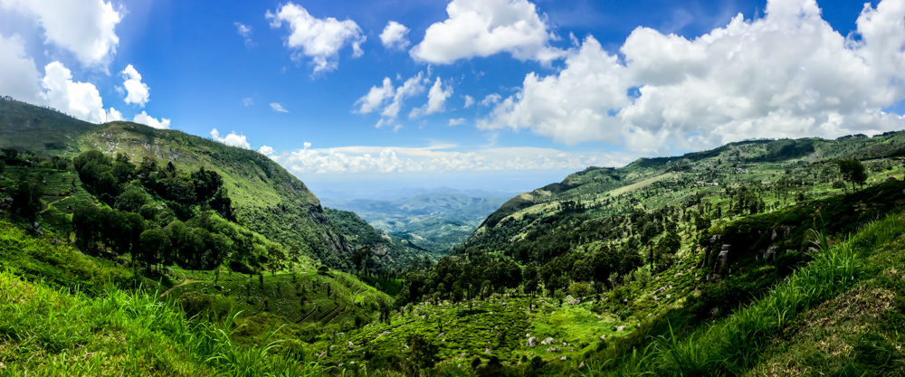 Sri lanka Kandy-19