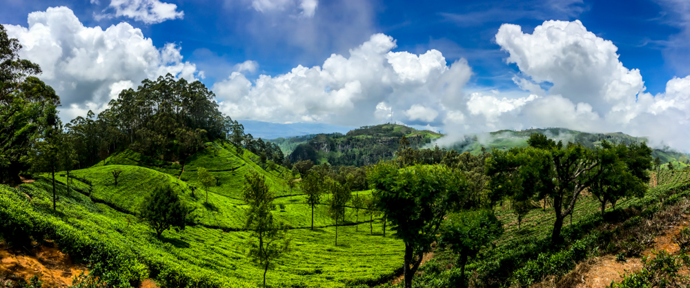 Sri lanka Kandy-20