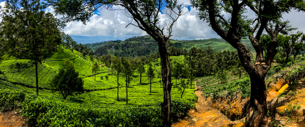 Sri lanka Kandy-22