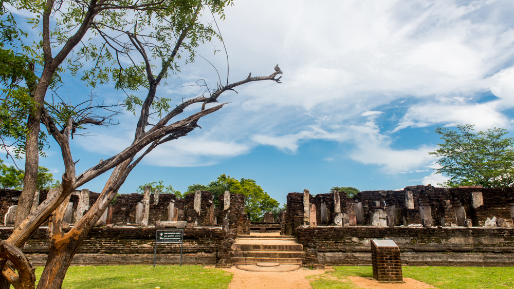 Sri lanka Polonnaruwa-24