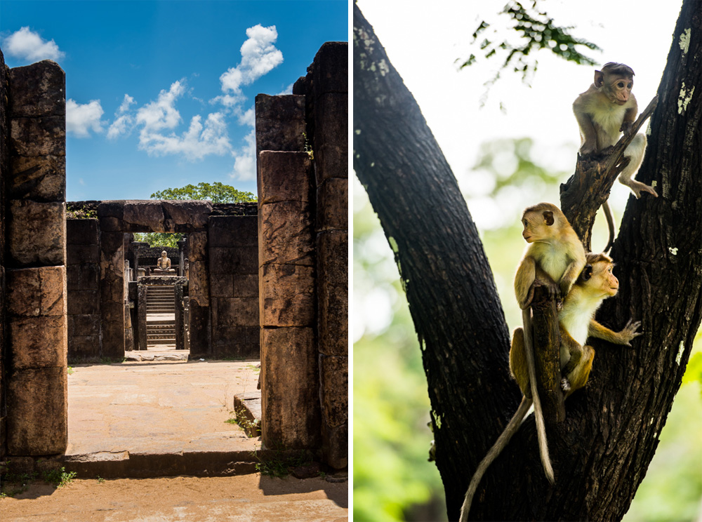 Sri-lanka-Polonnaruwa-36