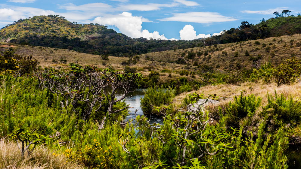 Horton Plains-1-2