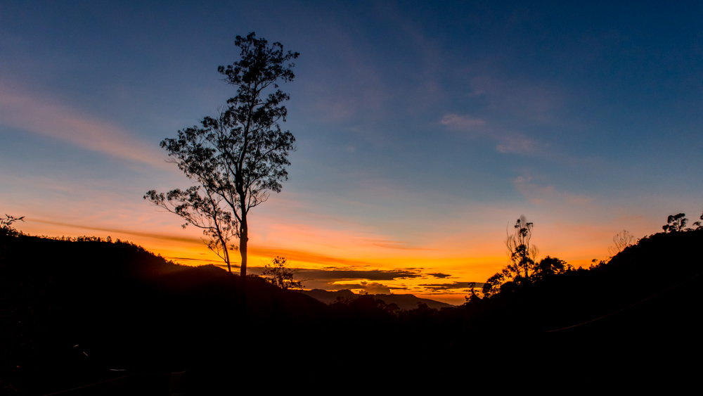 Horton Plains-1