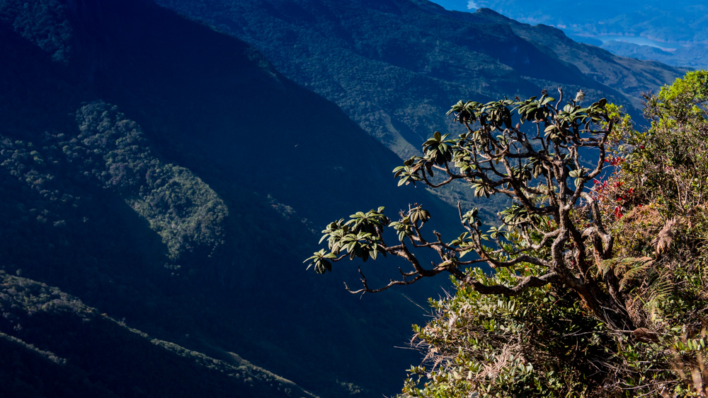 Horton Plains-13