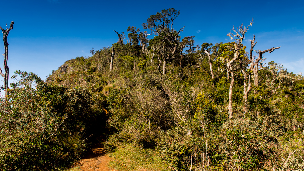 Horton Plains-14