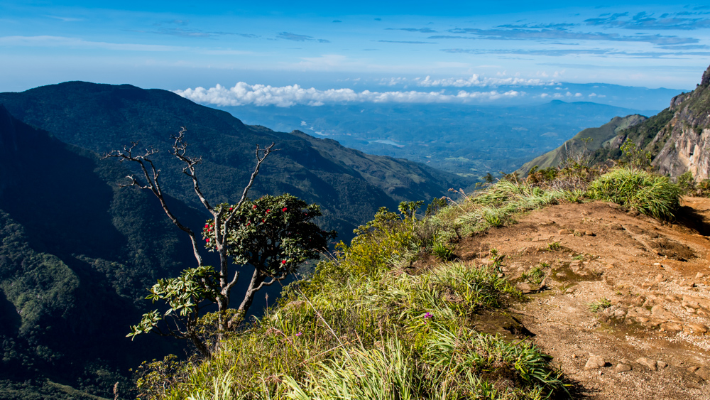 Horton Plains-15