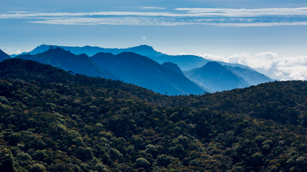 Horton Plains-17