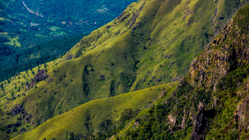 Horton Plains-18