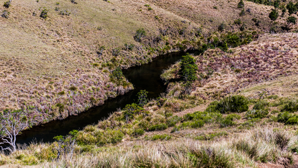 Horton Plains-27