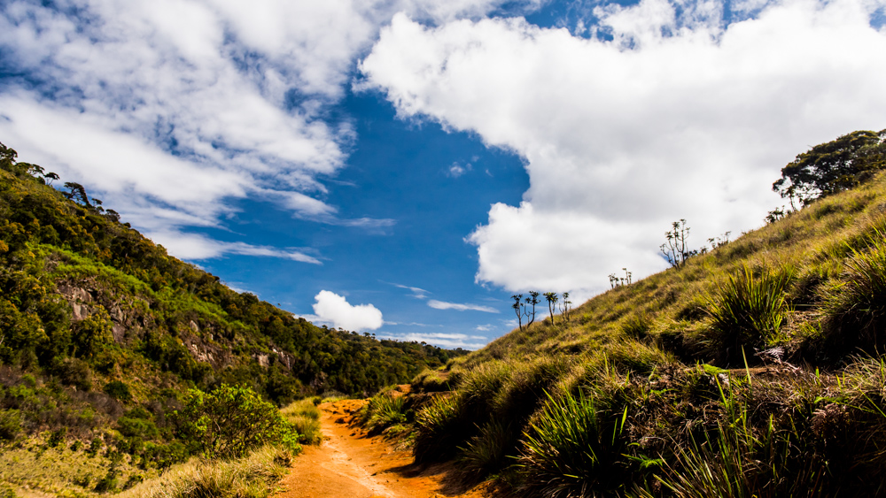 Horton Plains-28