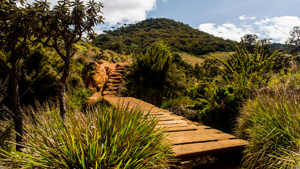 Horton Plains-29