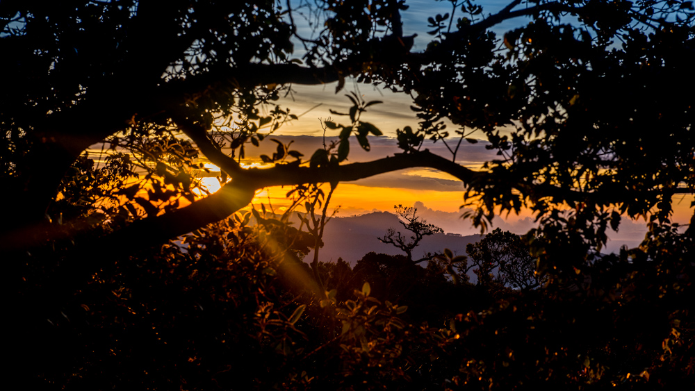 Horton Plains-3