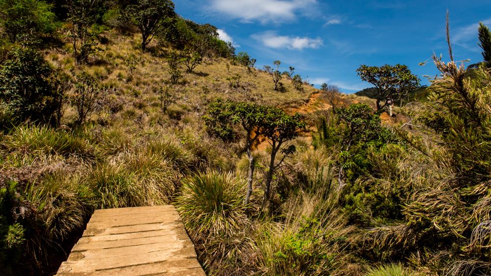 Horton Plains-30