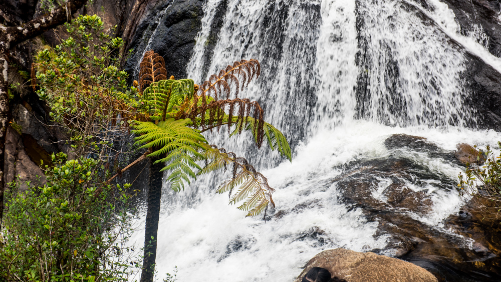 Horton Plains-33