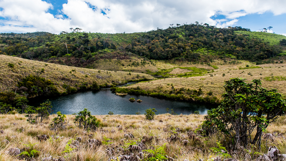 Horton Plains-35