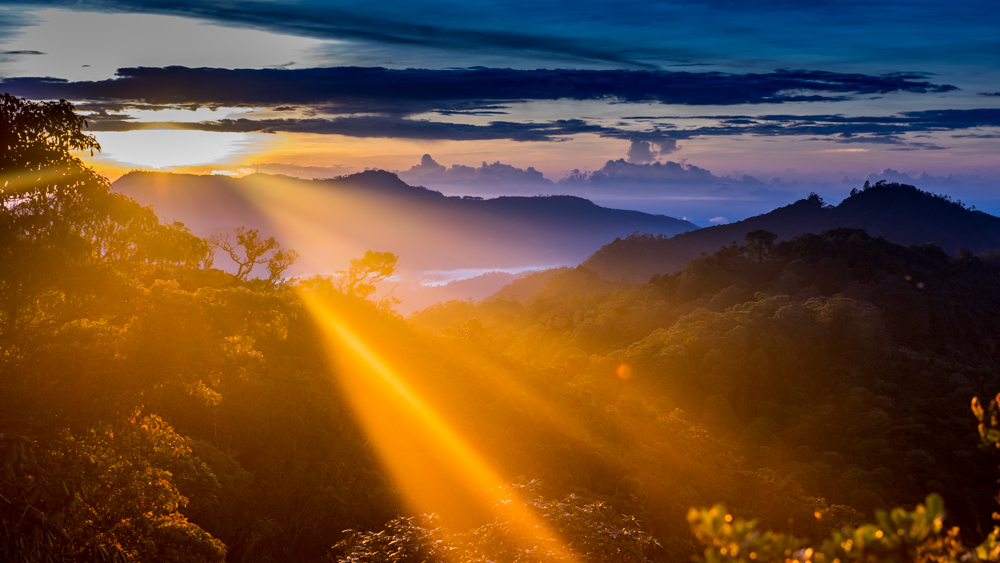 Horton Plains-6