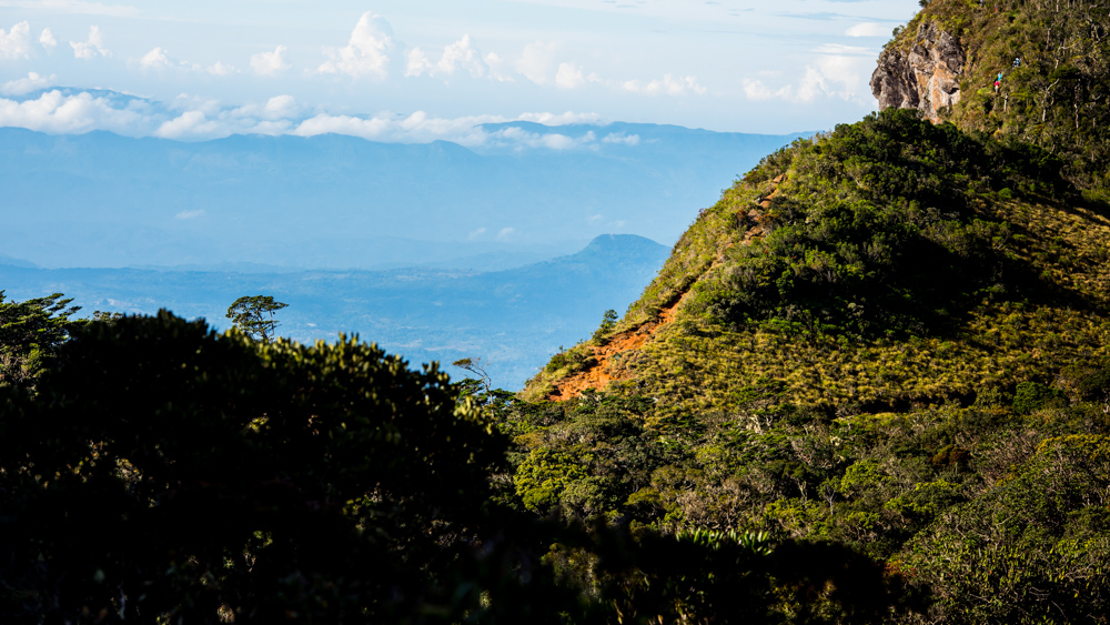 Horton Plains-9