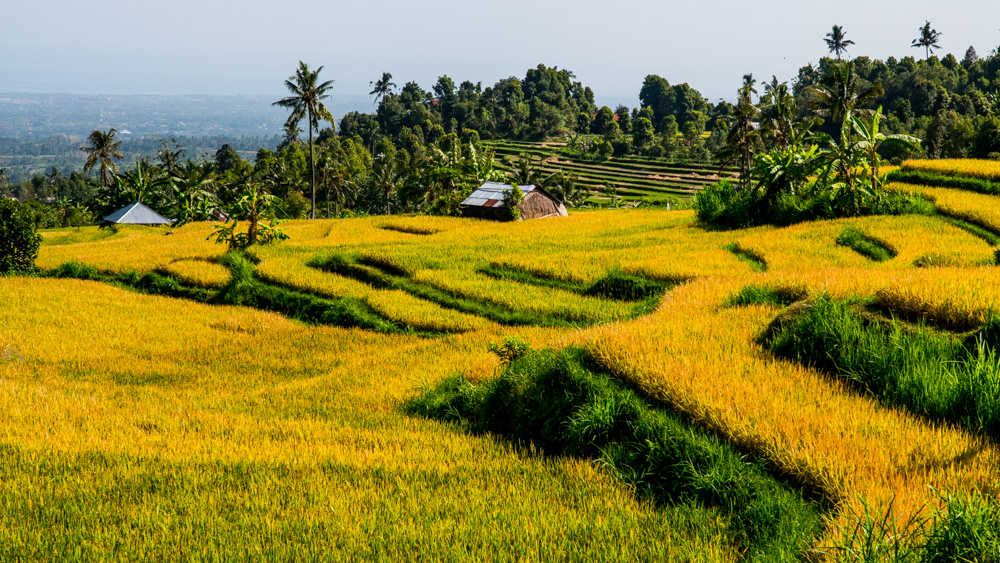 Najpiekniejsze miejsca na Bali-25