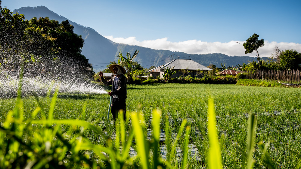 Najpiekniejsze miejsca na Bali-37