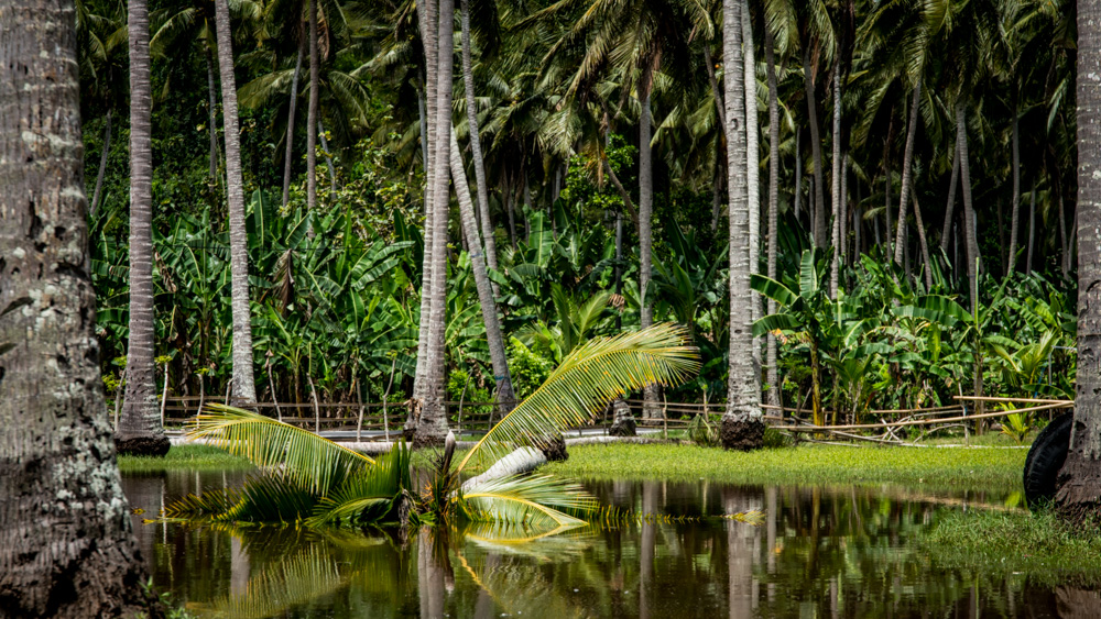 Najpiekniejsze miejsca na Bali-64