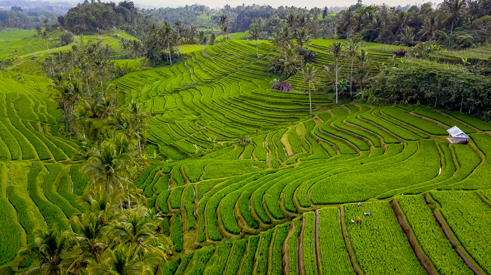 Najpiekniejsze miejsca na Bali-72