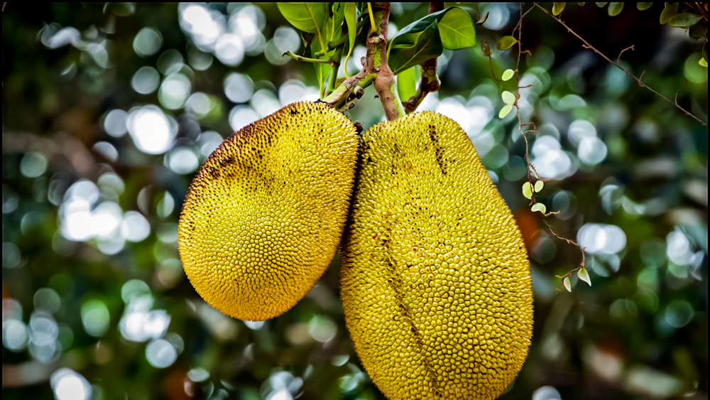 Najpiekniejsze miejsca na Bali-80