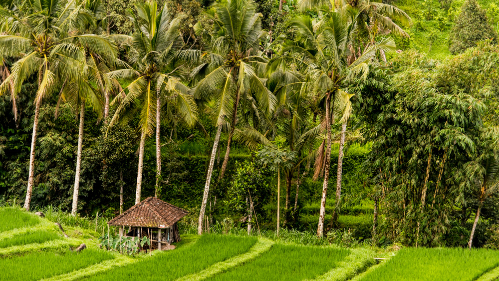 Najpiekniejsze miejsca na Bali-9