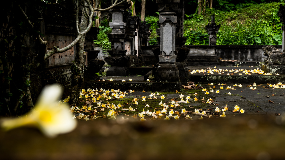 Huśtawka Ubud Bali-1-4