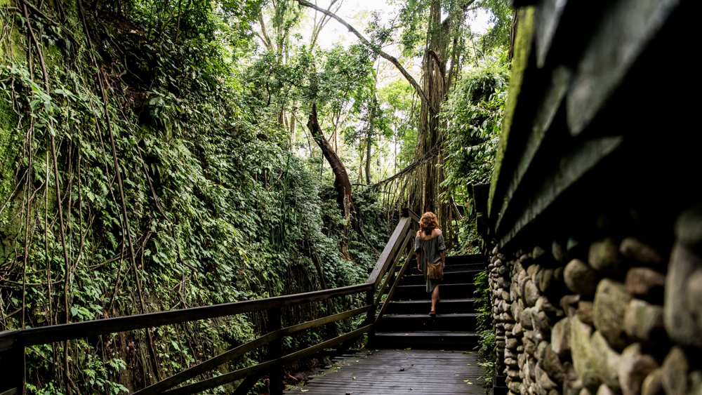 Ubud Moneky Forest-13