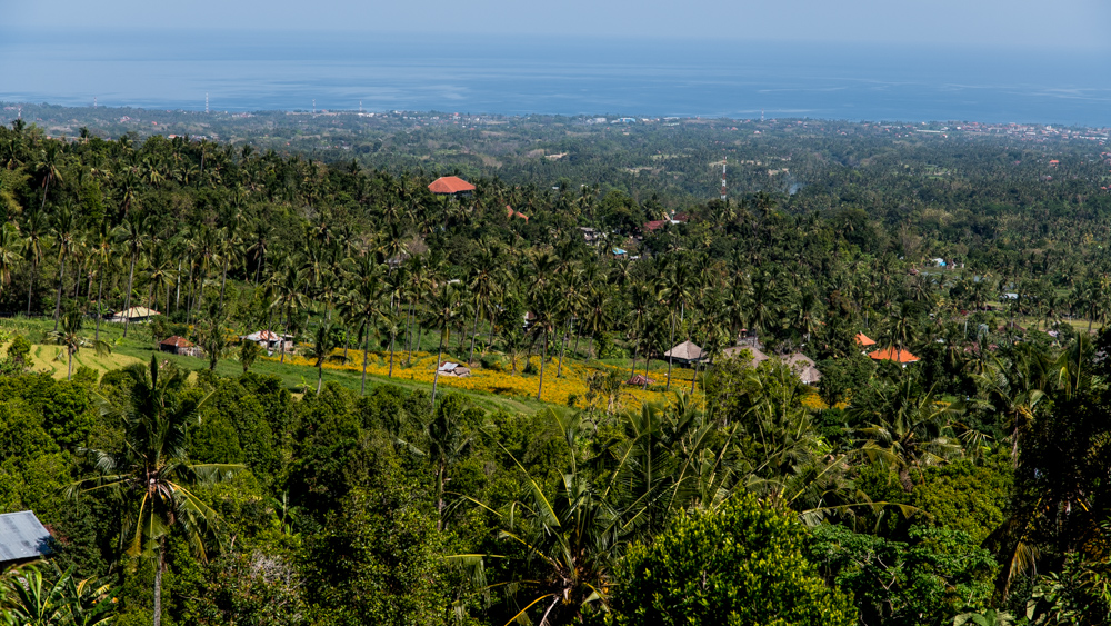 The Secret Gardens of Sambangan-13