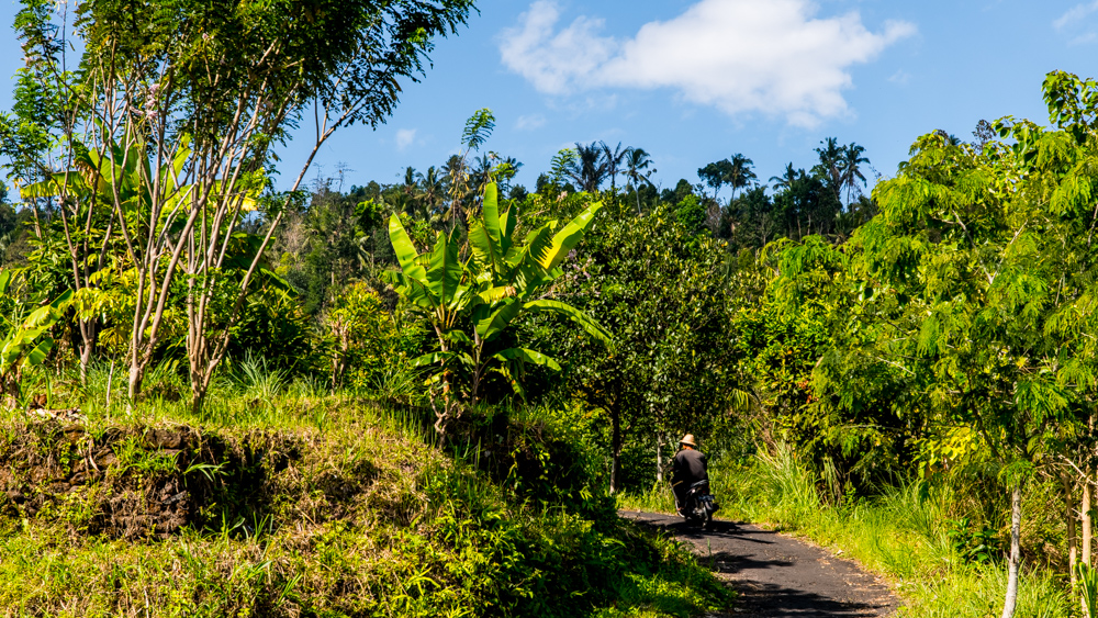 The Secret Gardens of Sambangan-8