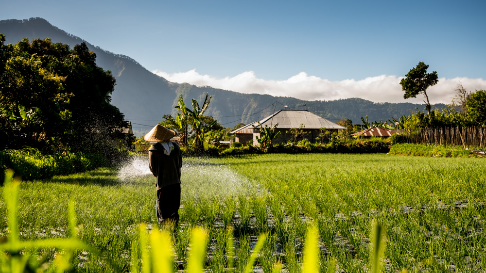 Wulkan Batur Bali-18