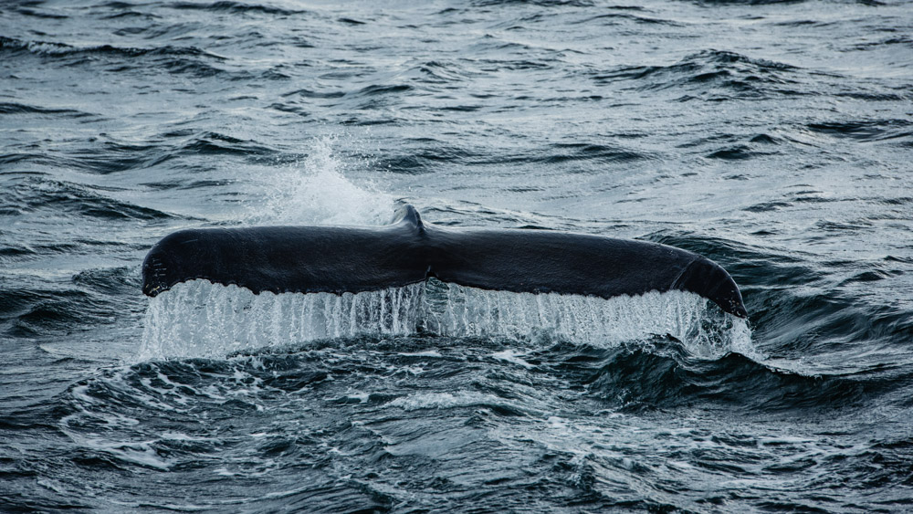 Islandia najpiekniejsze miejsca