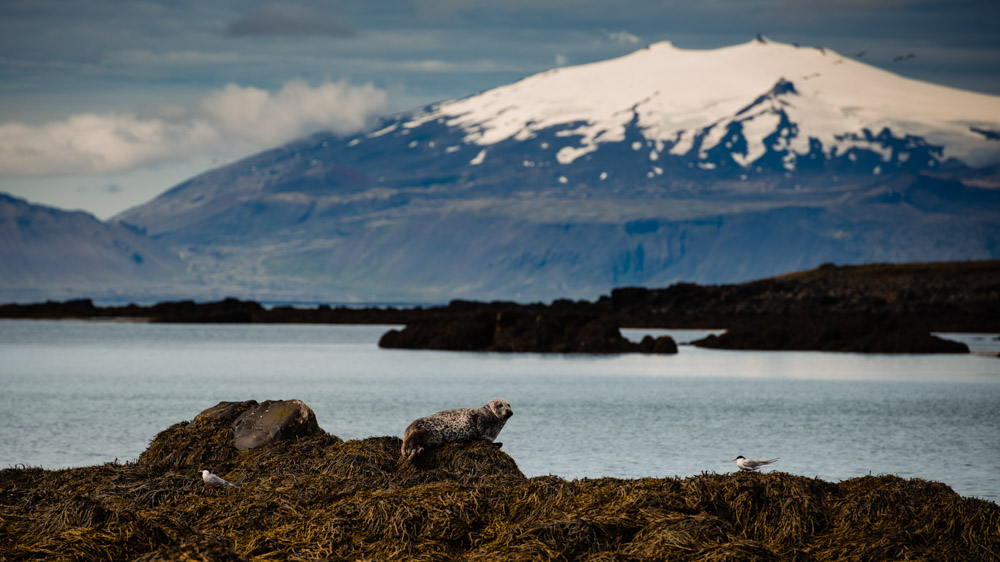 Islandia najpiekniejsze miejsca