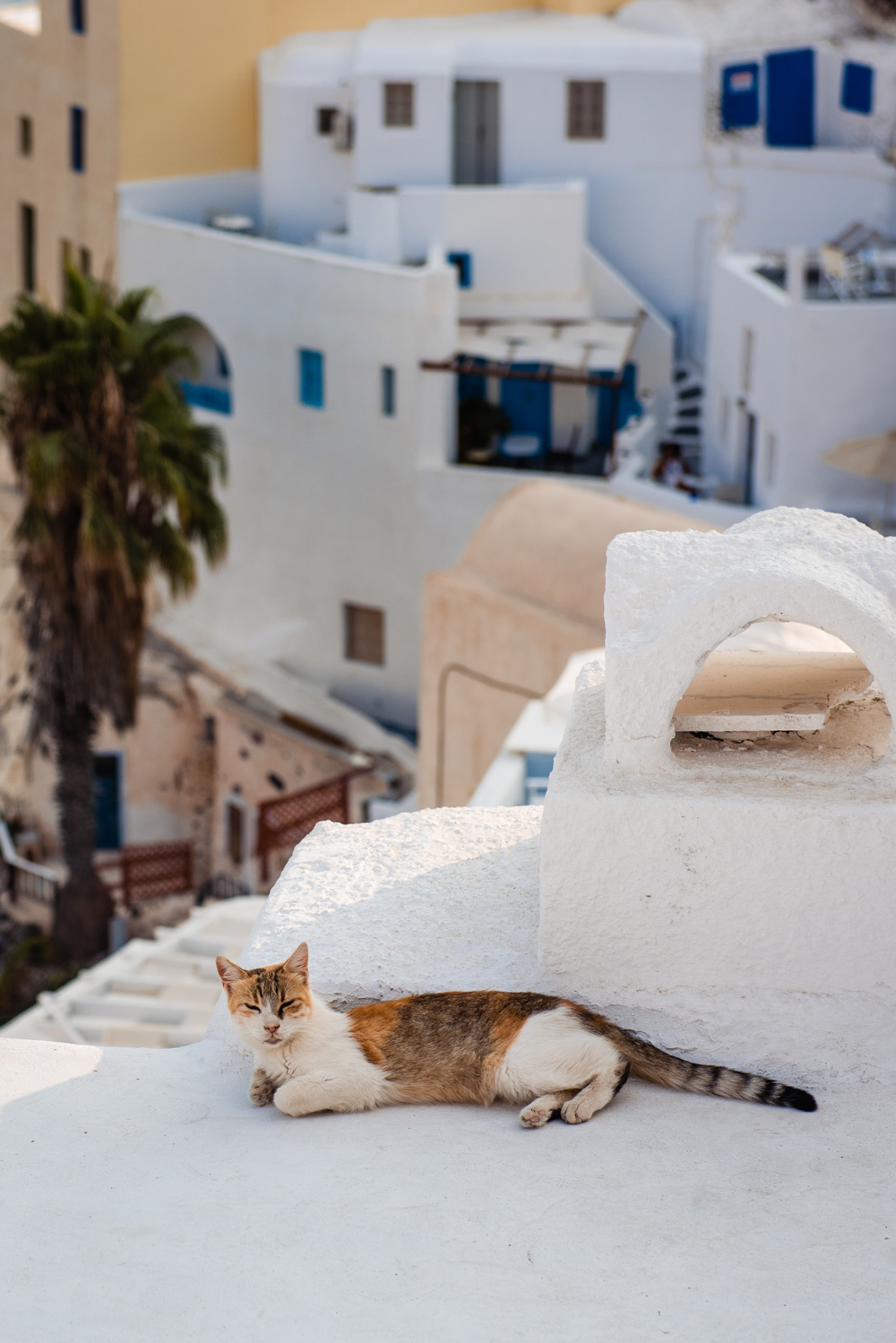 Oia Santorini