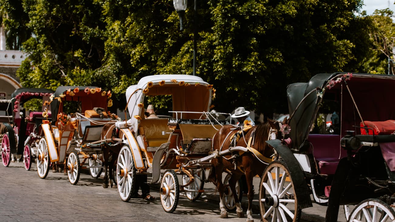 Izamal – żółte miasto w Meksyku, co robic i zobaczyc