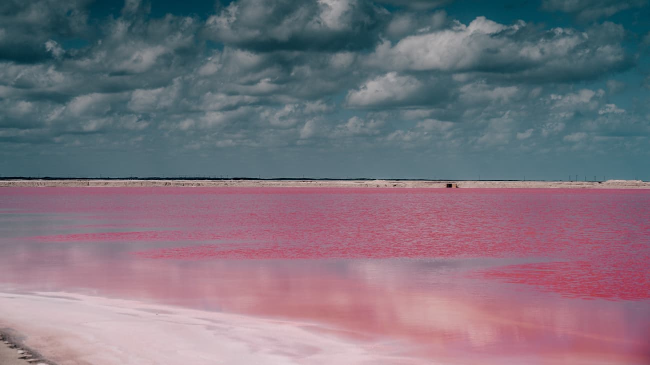 Rozowe jeziora na Jukatanie w meksyku