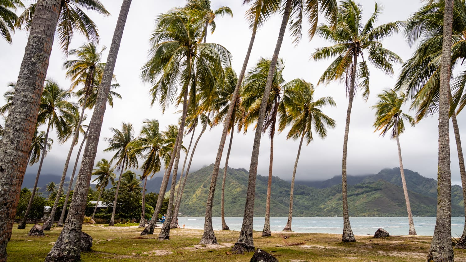 Najlepsze plaże Moorea Polinezja