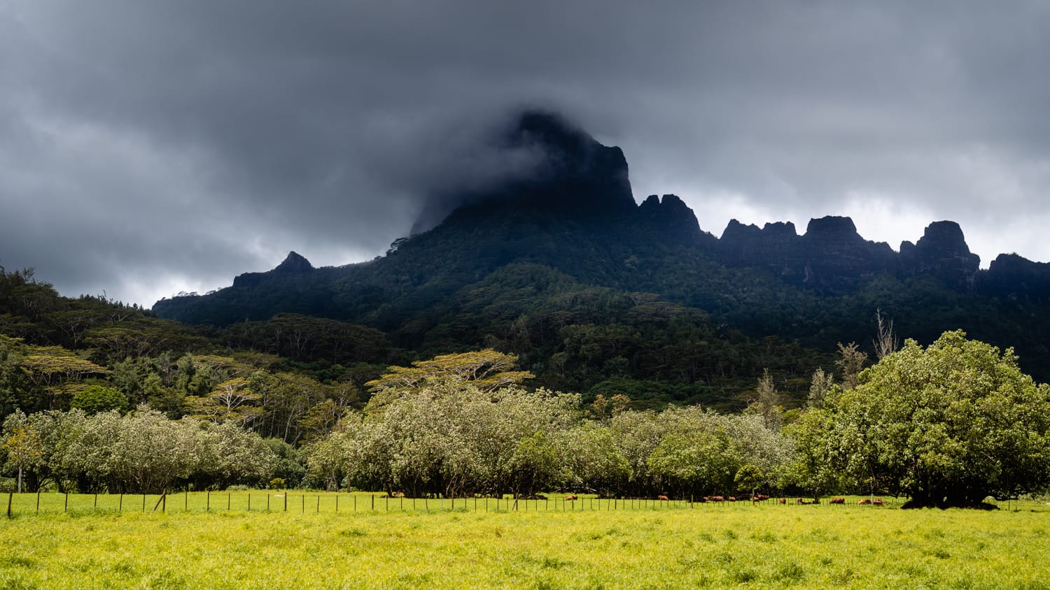 Co robić na Moorea, szlaki