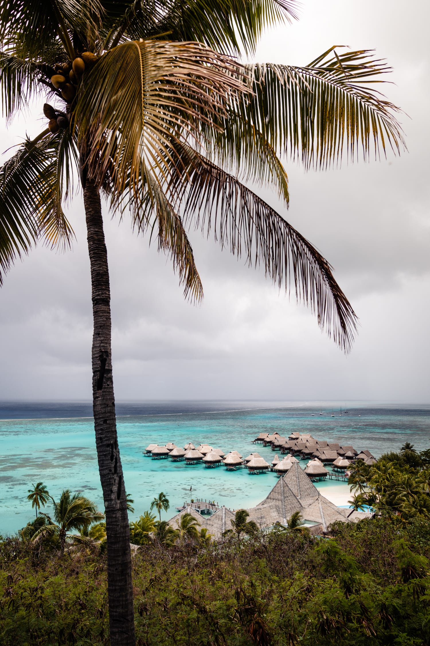 Hotel na podróż poślubną Polinezja
