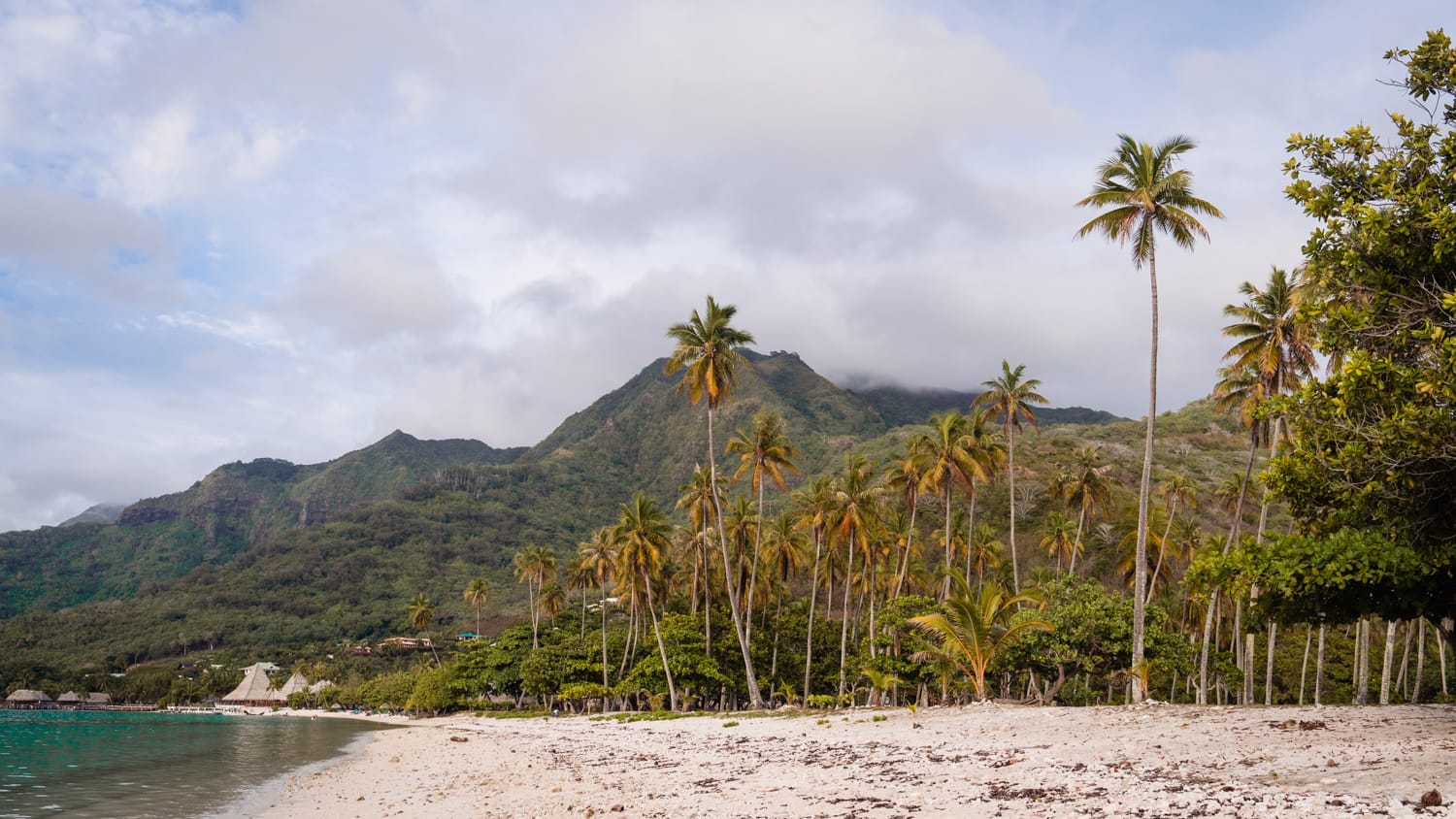 Co robić na Moorea