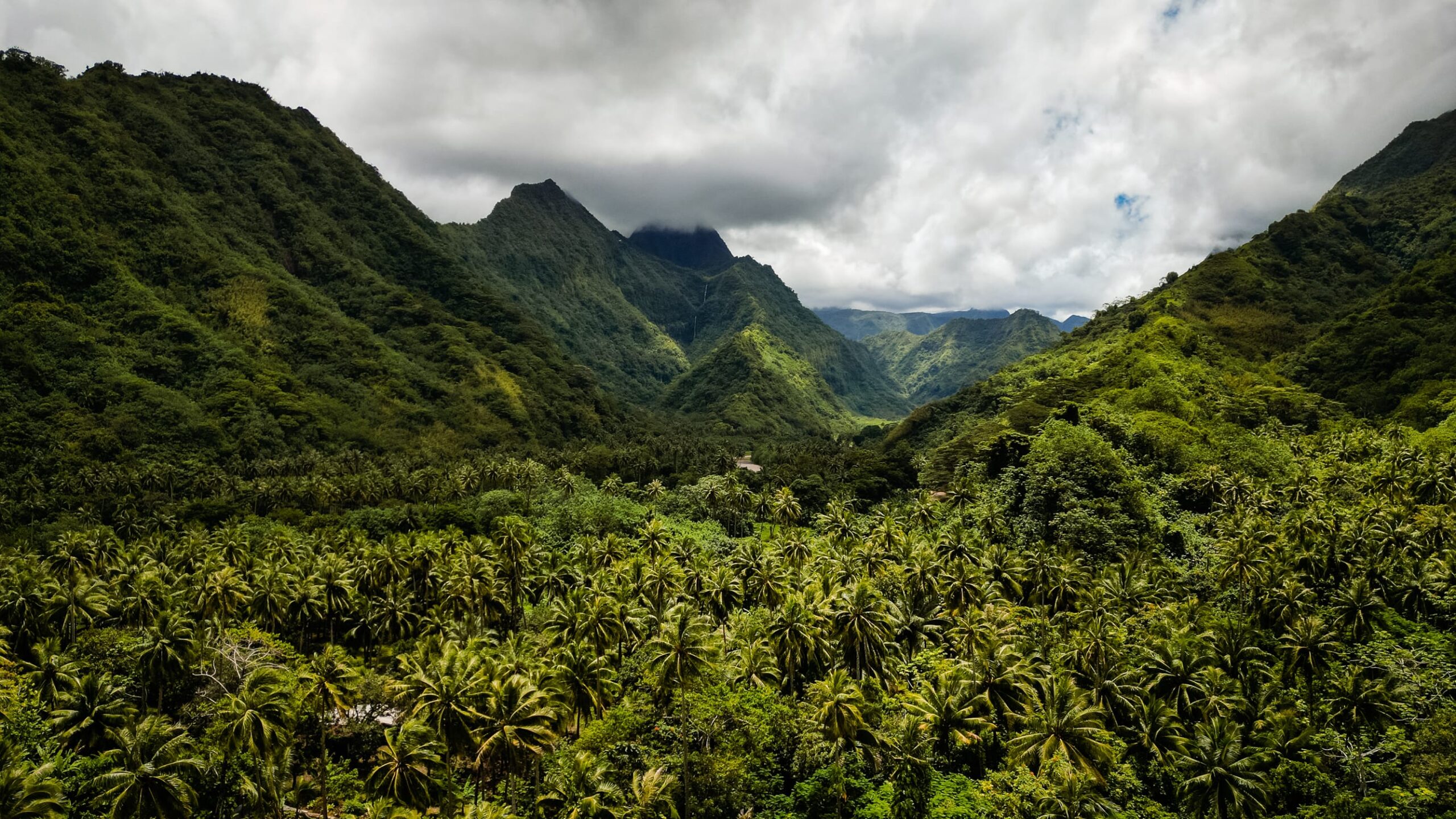 Przyroda Tahiti i trasy wedrowkowe