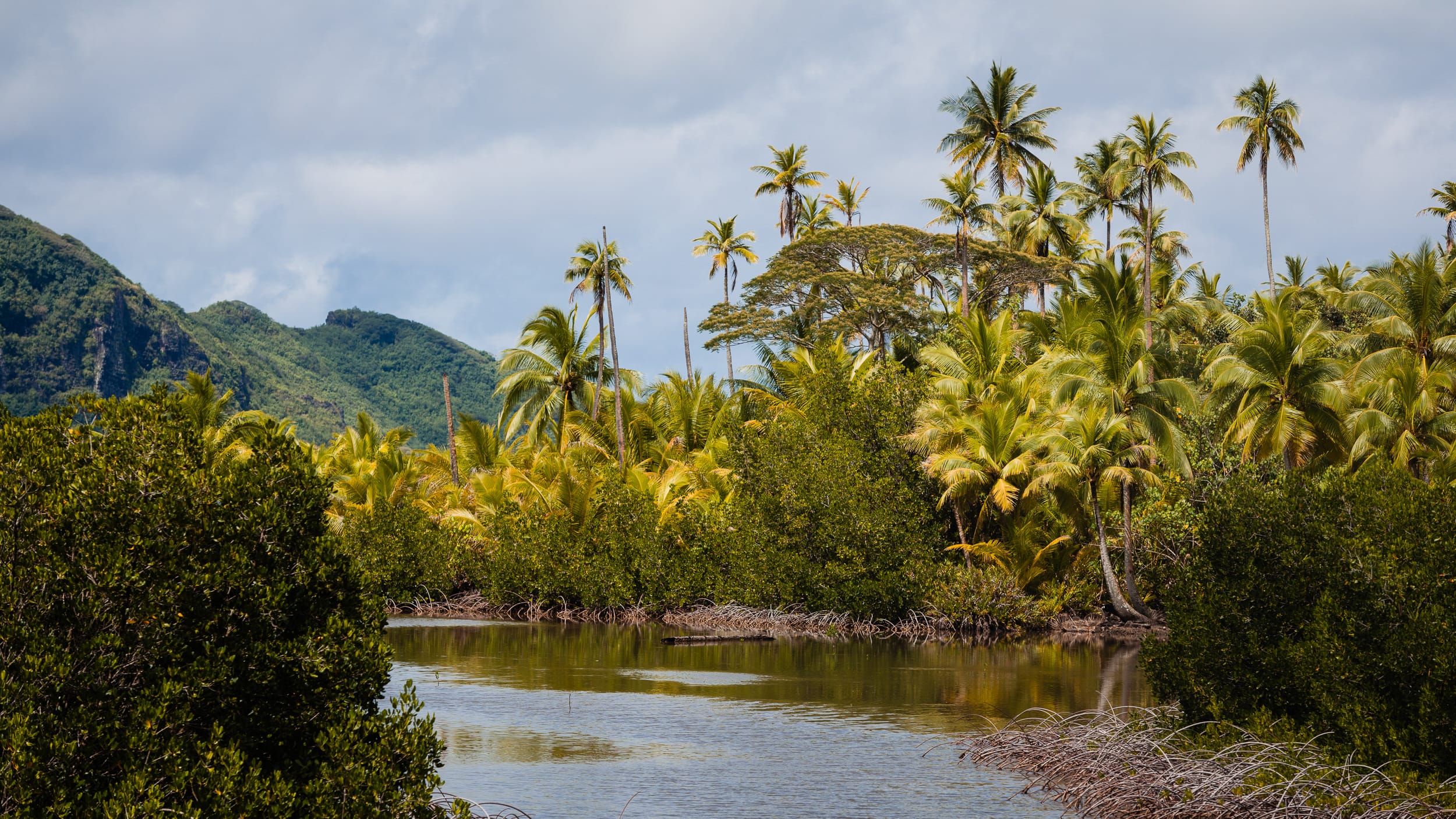 Ciekawe miejsca na Huahine Polinezja