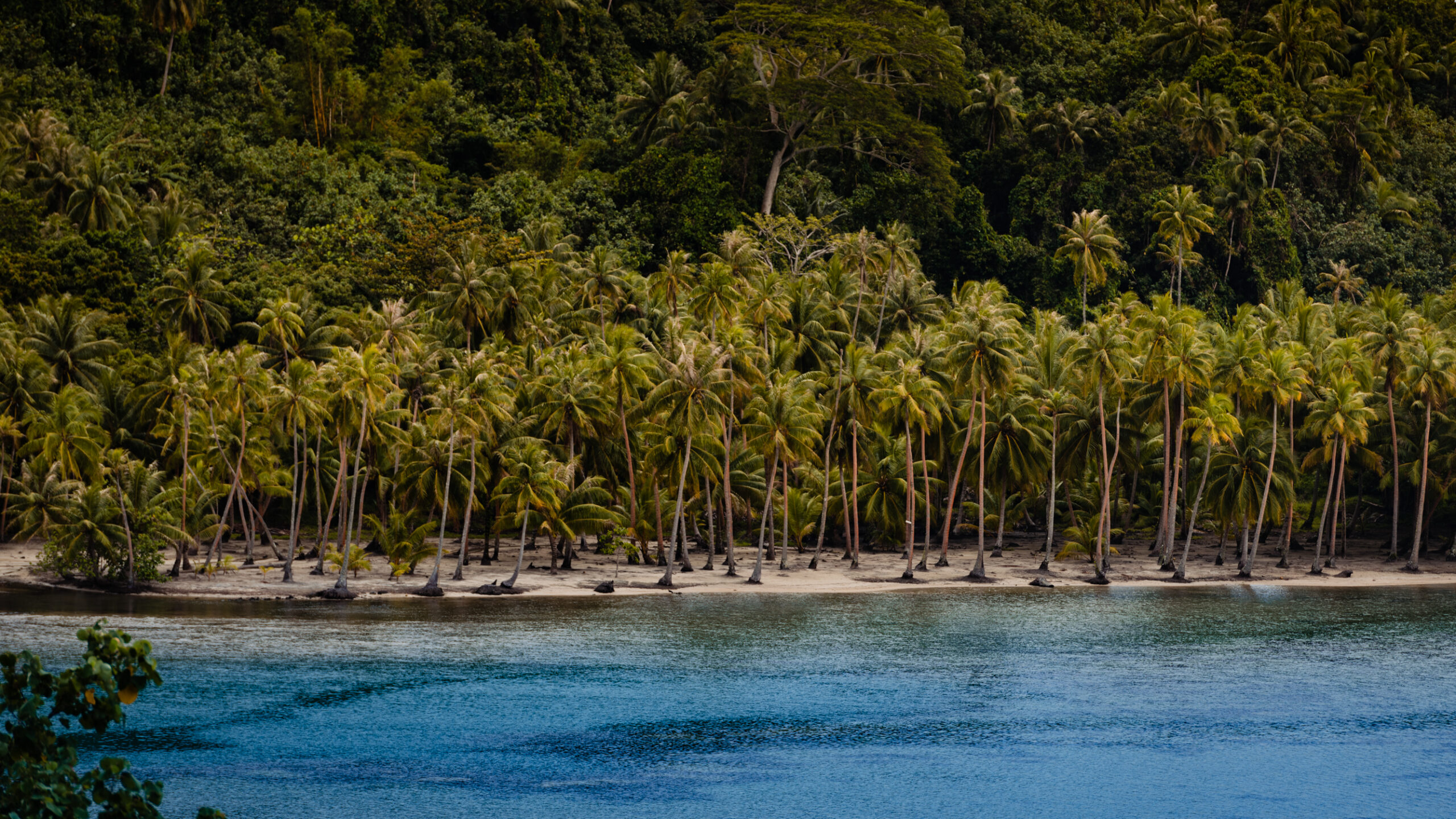 Najpiekniejsze miejsca na Polinezji