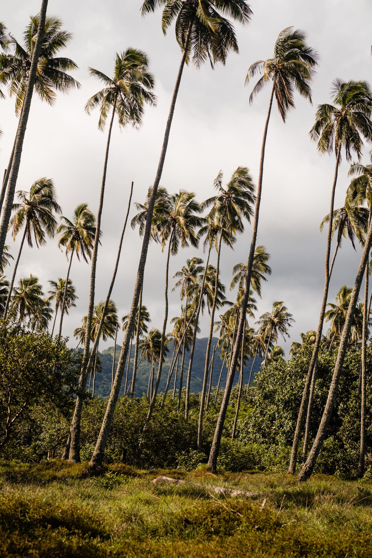 Najlepsze przeżycia na Tahiti Polinezja Francuska