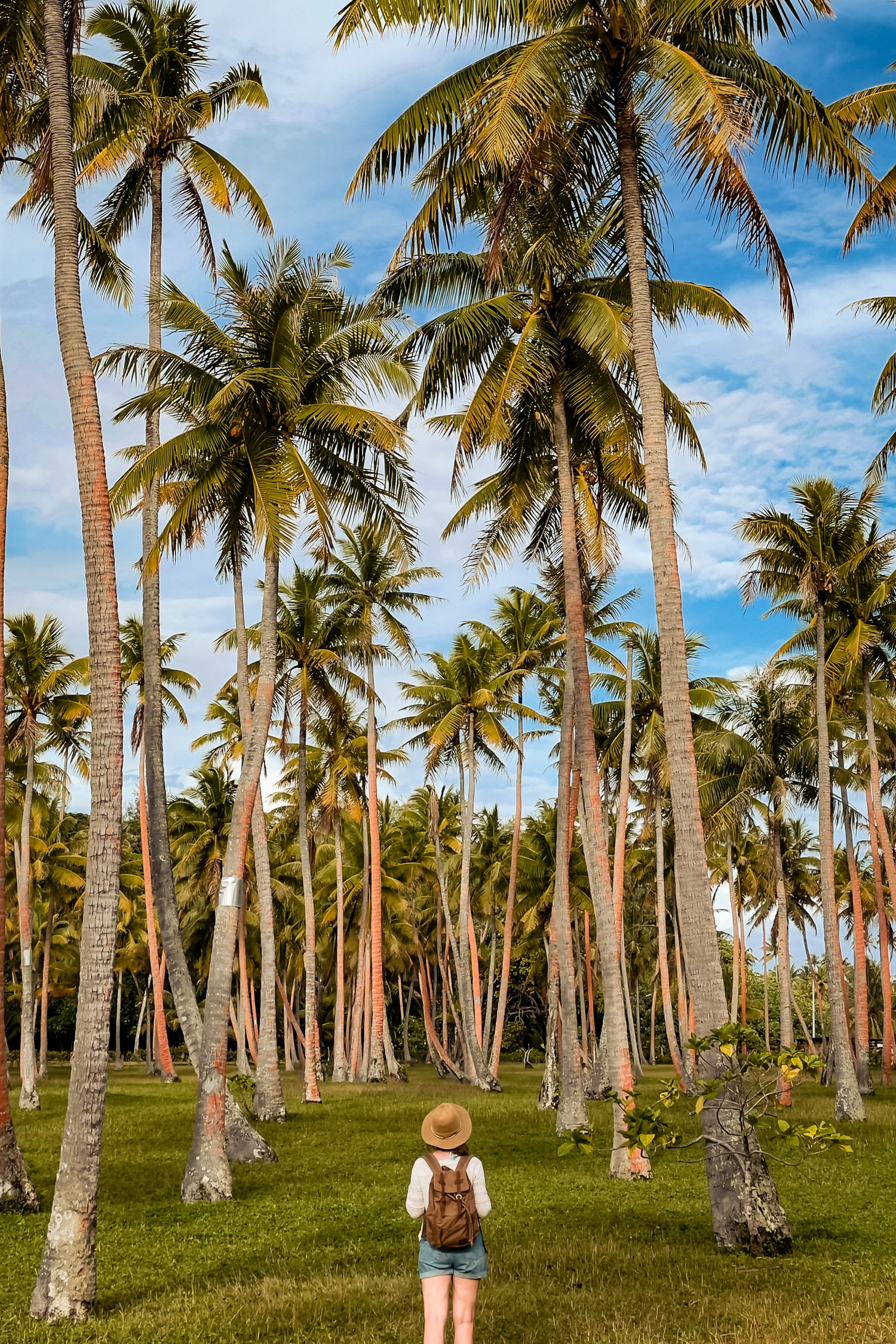 Co zobaczyc na Huahine plaze