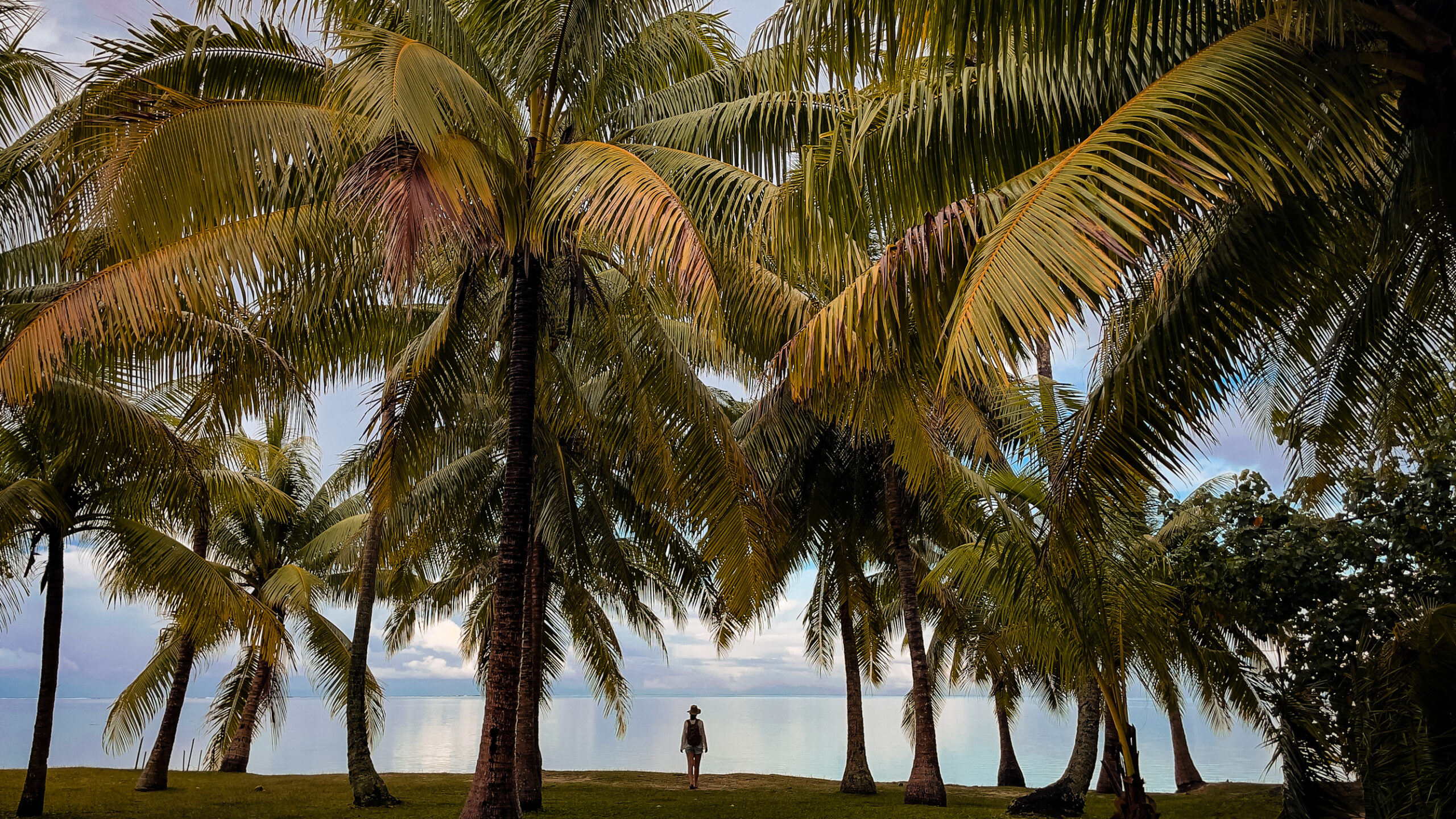 Huahine – Polinezja Francuska co robić na wyspie – przewodnik