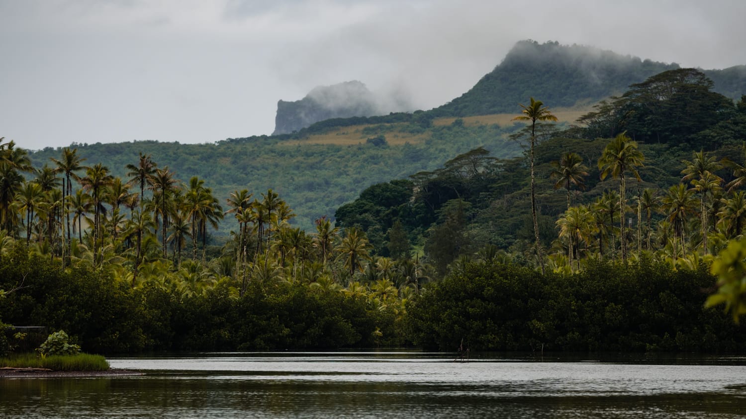 Kajakiem po rzecze Faaroa Raiatea Polinezja