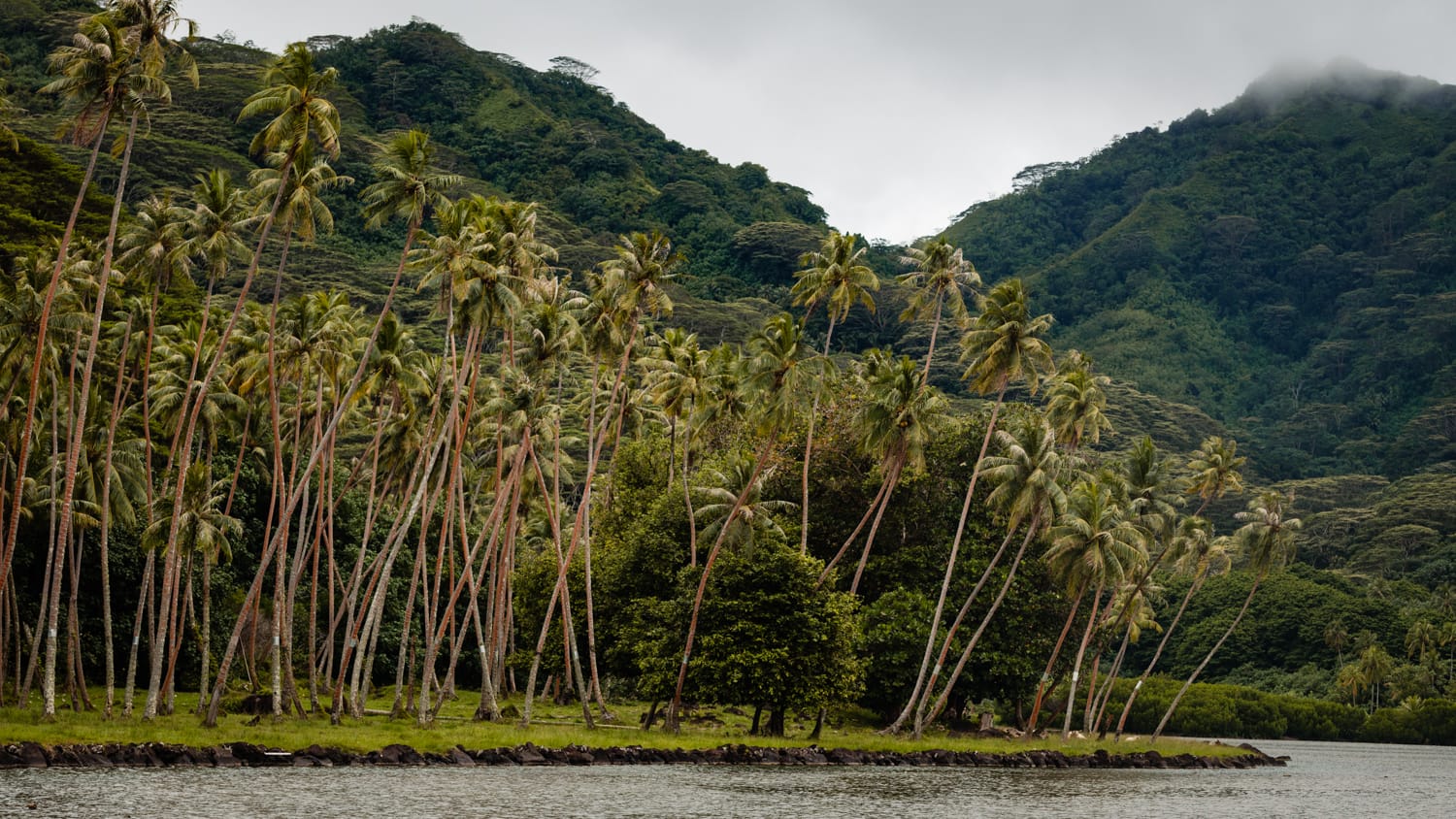 Co zobaczyc na Raiatea